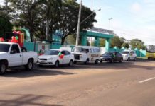 APAE Dracena está em clima de Natal