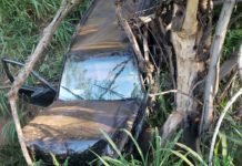 Após bater veículo em árvore na SP-294 homem é preso pela Polícia Rodoviária por embriaguêz