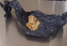 Polícia Militar em Dracena prende homem por Tráfico de Drogas