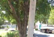 RECLAMAÇÃO DA POPULAÇÃO: Terreno sujo causa aparecimento de Escorpiões