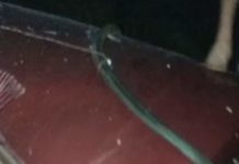 Colisão frontal entre carro e caminhão faz uma vítima fatal