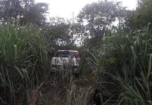 Veículo cai em ribanceira na SP 294, em Parapuã