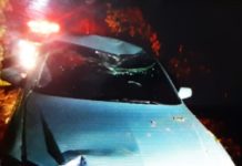 Motorista é preso em flagrante por embriaguez ao volante após bater em placa de sinalização