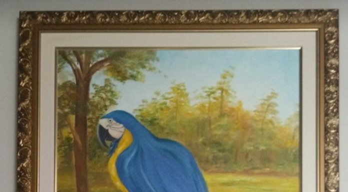 Artista Plástica pinta tela de Arara Jade que já foi Matéria no Site JZ e na TV