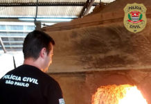 Polícia Civil incinera mais de 18 Kgs. de Drogas apreendidas nas cidades de Paulicéia e Panorama