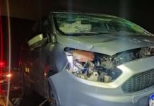 Motorista embriagada capota veículo na Rodovia Assis Chateaubriand