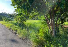 RECLAMAÇÃO DA POPULAÇÃO: Moradores da Rua Vendramim reclamam de terreno com mato alto
