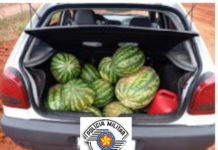 Quatro pessoas acabam presas em Junqueirópolis por furto de Melancia