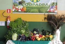 COOPADRA realiza almoço de confraternização para produtores e convidados