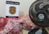 Polícia Civil recupera produtos furtados de Escola Municipal de Panorama