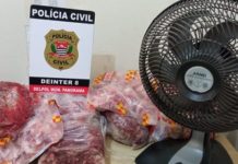 Polícia Civil recupera produtos furtados de Escola Municipal de Panorama