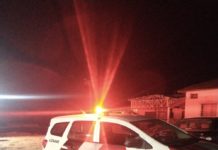 Polícia Militar localiza autor de furto e recupera rés furtiva em Panorama