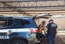 Polícia Civil prende homem suspeito por roubo, agressão e violência sexual em Dracena