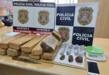 Polícia Civil prende suspeito de Tráfico de Drogas e apreende cerca de 9 quilos de Maconha em Dracena