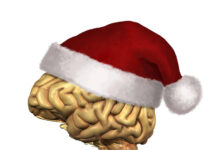 O espírito festivo: (por Cidinha Pascoaloto)