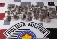 Polícia Militar apreende Drogas em córrego de Dracena