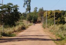 Finalmente Vicinal Mário Covas será concluída e terá a ligação Dracena a Junqueirópolis asfaltada