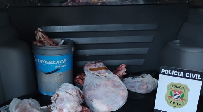 Polícia Civil identifica suspeitos e recupera parte de carne levada em furto de gado em Ouro Verde