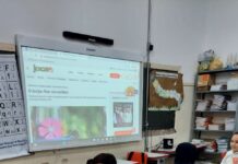 Alunos da E. M. Profª Geny Barbosa Genovez de Tupi Paulista em destaque