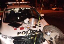 Em rápida ação Polícia Militar prende autor de furto a residência e recupera rés furtivas em Paulicéia