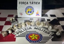 Polícia Militar em ação da Força Tática prende 2 homens por Tráfico de Drogas na SP-294