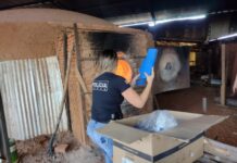 Polícia Civil realiza incineração de cerca de 26 Quilos de Drogas apreendidas na região de Dracena