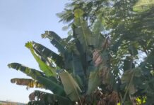 Polícia Militar recupera moto furtada em Junqueirópolis