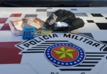 Polícia Militar prende homem em flagrante por Tráfico de Drogas em Dracena