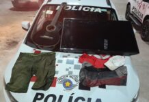 Polícia Militar prende homem por Tráfico de Entorpecentes e recupera Rés Furtivas esclarecendo furto em Panorama
