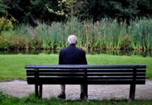 Solitude e Inteligência Emocional (por Cidinha Pascoaloto)