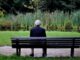 Solitude e Inteligência Emocional (por Cidinha Pascoaloto)