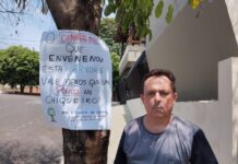 Revoltado, cidadão dracenense faz protesto contra envenenamento e morte de árvore