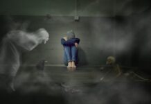 Psicoses e alucinações (por Cidinha Pascoaloto)