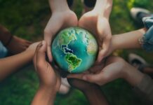 Sicredi neutraliza emissões de carbono