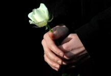 O processo de luto pode gerar depressão? (por Cidinha Pascoaloto)