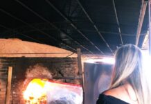 Polícia Civil incinera cerca de mais de 15 quilos de Drogas em Dracena