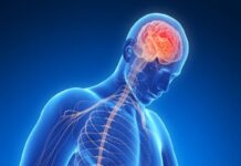 O intestino é nosso segundo cérebro. Você já ouviu falar? (por Cidinha Pascoaloto)