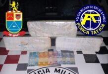 Polícia Militar em ação de Força Tática apreende 3 tijolos de Maconha e leva para a prisão um casal por Tráfico de Drogas