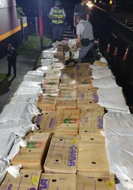 Ação conjunta entre a Polícia Civil e Polícia Militar Rodoviária apreende duas toneladas e meia de Drogas na SP-294 em Santa Mercedes