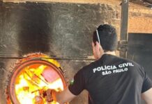 Polícia Civil incinera mais de 4 quilos de Drogas apreendidas na região de Dracena