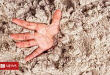 O Esforço Inverso na Ansiedade: Uma Abordagem Transformadora (por Cidinha Pascoaloto)