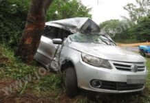 Veículo desgovernado bate violentamente contra árvore na SP-294 em Junqueirópolis