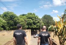 Polícia Civil cumpre mandados de buscas e apreensões em Nova Guataporanga
