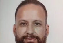 Motorista e pelo menos 20 bois morrem em acidente entra carreta e carro na SP-563