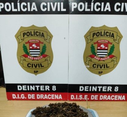 Polícia Civil apreende porção de Maconha após investigação de denúncia anônima em Dracena
