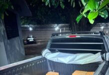 NA CALADA DA NOITE: Polícia Militar prende mulher por furto de tijolos em Dracena