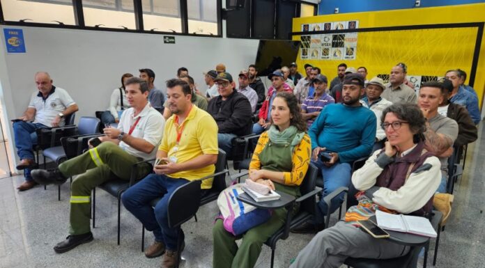 Secretaria de Limpeza Pública e Meio Ambiente promove capacitação para podadores de Dracena