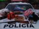 Polícia Civil age rápido e esclarece furto e abate clandestino de gado em Dracena