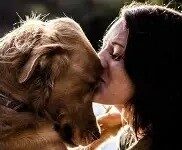 Violência contra Animais: O que Esse Comportamento Revela e o Papel da Educação de Crianças e Adolescentes (por Cidinha Pascoaloto)