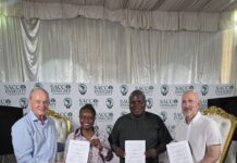 Sicredi firma parceria internacional para fortalecer liderança cooperativista